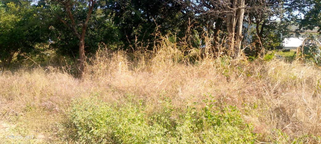 Property Thumbnail